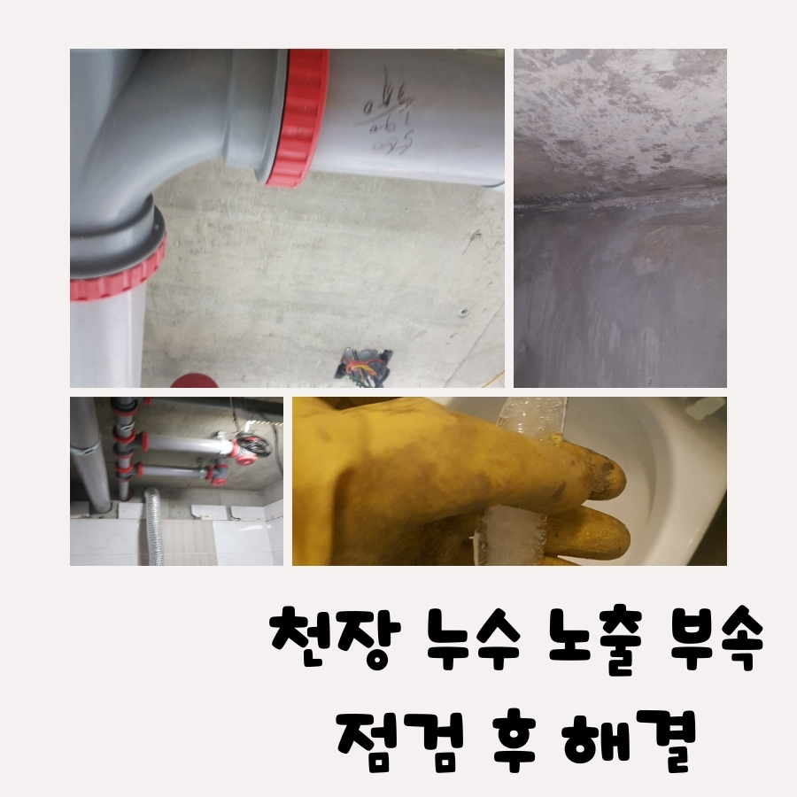송월동누수탐지 온수배관 압력검사 기록 사진 5